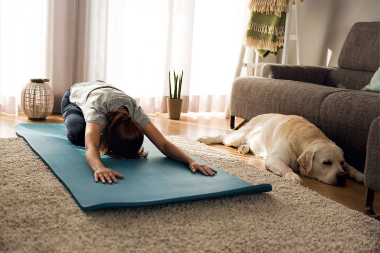 Köpekler İçin En İyi Egzersiz Ekipmanları