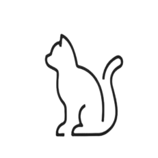 Kedi