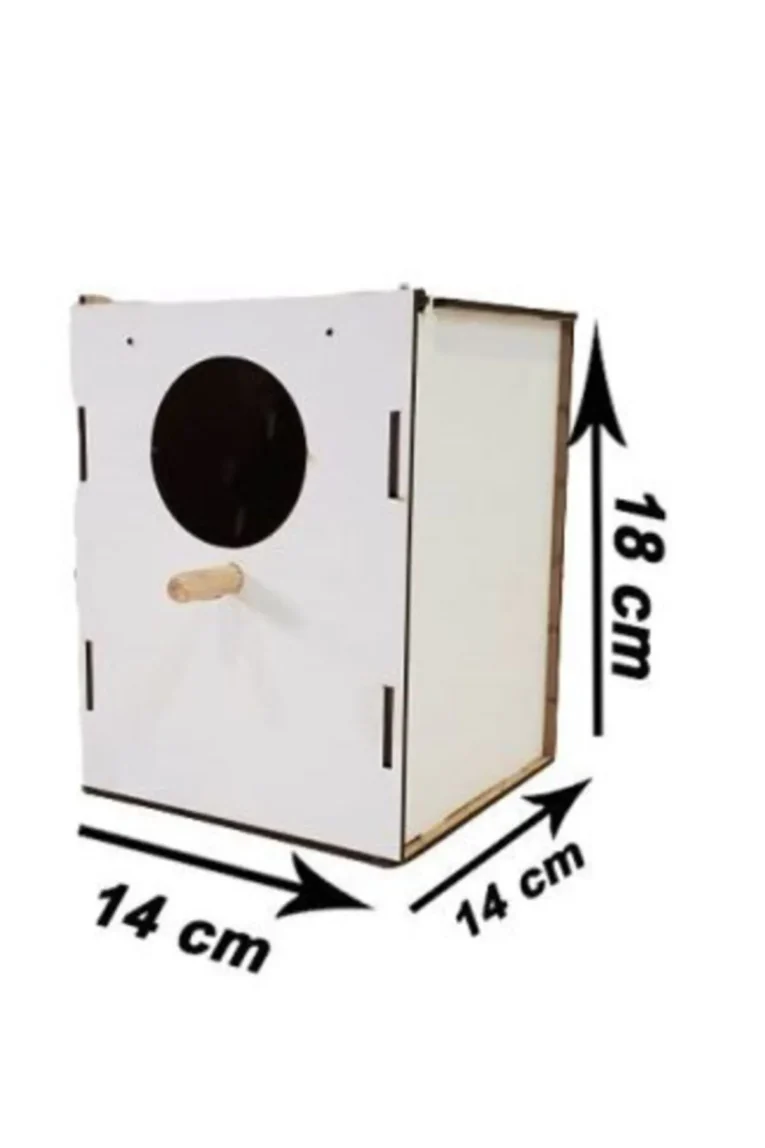 1_org_zoom-1.jpg