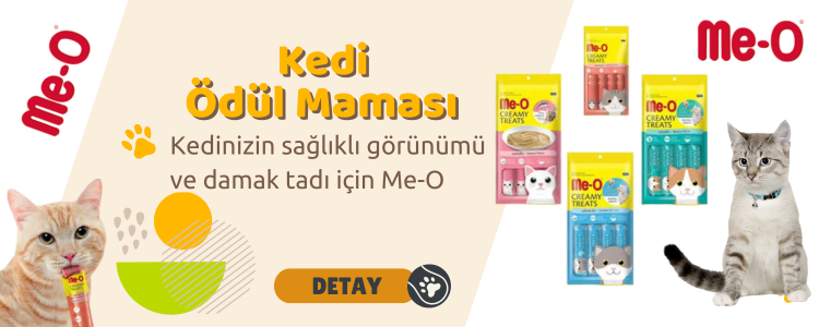 meo-800 (800 x 300 piksel)
